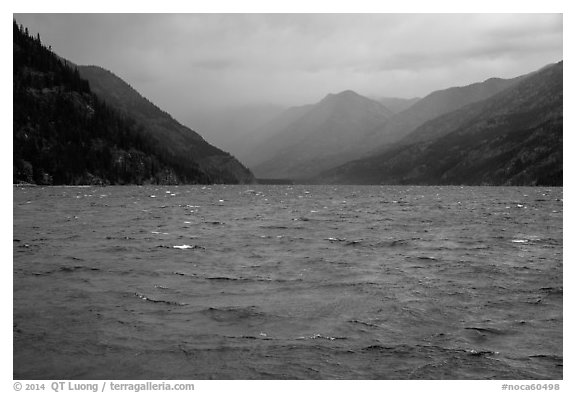 Rain, Lake Chelan, North Cascades National Park Service Complex.  (black and white)