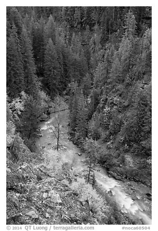 Agnes Creek from above, Glacier Peak Wilderness.  (black and white)