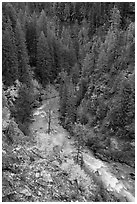 Agnes Creek from above, Glacier Peak Wilderness.  ( black and white)