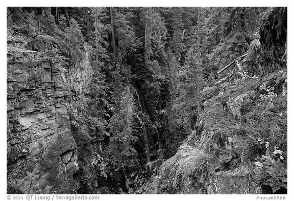 Waterfall, Agnes Gorge, Glacier Peak Wilderness.  (black and white)