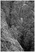 Agnes Gorge, Glacier Peak Wilderness.  ( black and white)