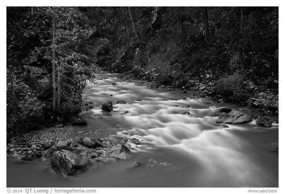 Agnes Creek, Glacier Peak Wilderness.  (black and white)