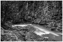 Agnes Creek in Agnes Gorge, Glacier Peak Wilderness.  ( black and white)