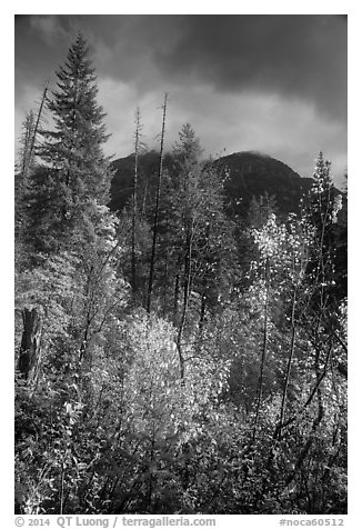 McGregor Mountain under dark sky in autumn, North Cascades National Park.  (black and white)