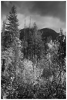 McGregor Mountain under dark sky in autumn, North Cascades National Park.  ( black and white)