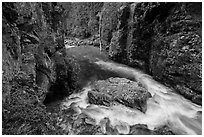 Stehekin gorge below High Bridge, North Cascades National Park.  ( black and white)