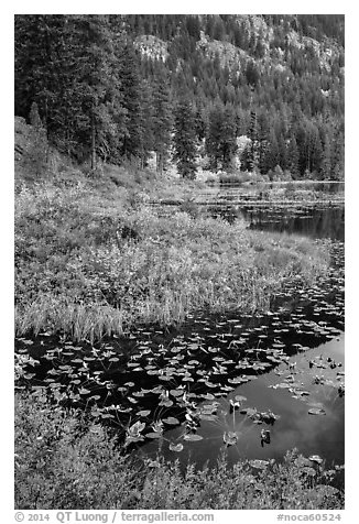 Coon Lake in autumn, Stehekin, North Cascades National Park Service Complex.  (black and white)