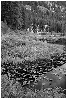 Coon Lake in autumn, Stehekin, North Cascades National Park Service Complex.  ( black and white)