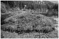 Coon Lake in the fall, North Cascades National Park Service Complex.  ( black and white)