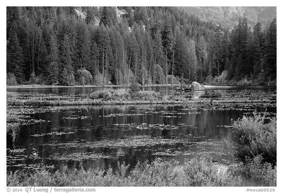 Coon Lake reflections, Stehekin, North Cascades National Park Service Complex.  (black and white)