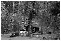High Bridge campground, North Cascades National Park.  ( black and white)