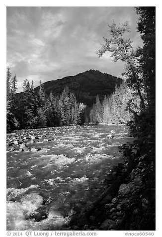 Stehekin River, North Cascades National Park Service Complex.  (black and white)