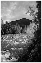 Stehekin River, North Cascades National Park Service Complex.  ( black and white)