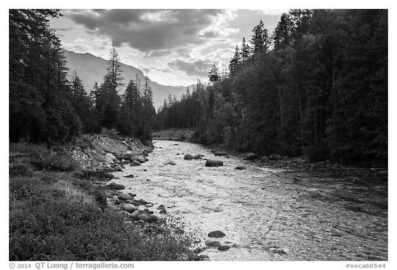 Stehekin River, looking down valley, North Cascades National Park Service Complex.  (black and white)