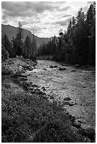 Stehekin River flows in Stehekin Valley, North Cascades National Park Service Complex.  ( black and white)