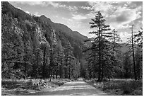 Road, Stehekin Valley, North Cascades National Park Service Complex.  ( black and white)