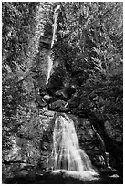 Rainbow Falls, Stehekin, North Cascades National Park Service Complex.  ( black and white)