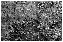 Stream, Stehekin, North Cascades National Park Service Complex.  ( black and white)