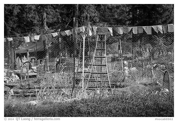 Vegetable garden, Stehekin, North Cascades National Park Service Complex.  (black and white)