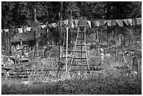 Vegetable garden, Stehekin, North Cascades National Park Service Complex.  ( black and white)