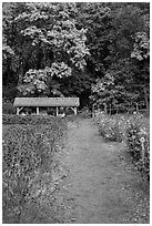 Organic garden, Stehekin, North Cascades National Park Service Complex.  ( black and white)