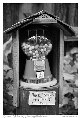 Bike through gumball dispenser, Stehekin, North Cascades National Park Service Complex.  (black and white)