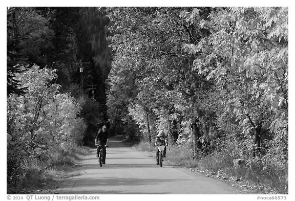 Bicyclists in autumn, Stehekin, North Cascades National Park Service Complex.  (black and white)