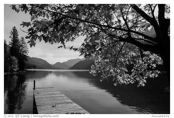 Deck autumn, Lake Chelan, Stehekin, North Cascades National Park Service Complex.  (black and white)