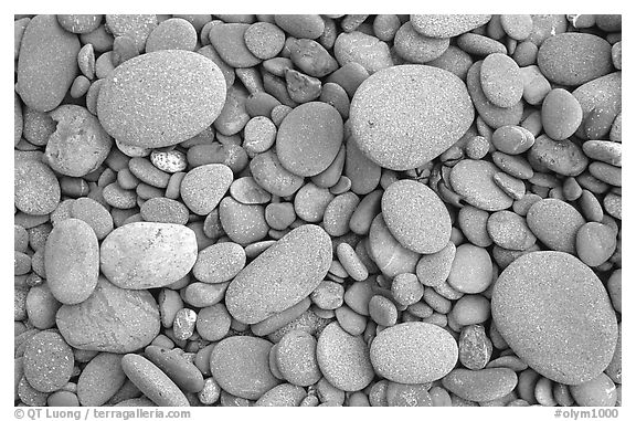 Round pebbles on beach. Olympic National Park, Washington, USA.