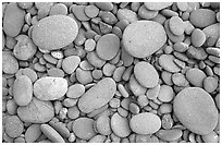 Round pebbles on beach. Olympic National Park, Washington, USA. (black and white)