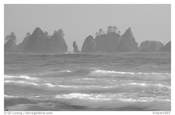 Waves and seastacks, Shi-Shi Beach. Olympic National Park, Washington, USA.