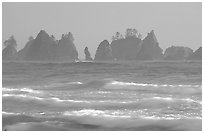 Waves and seastacks, Shi-Shi Beach. Olympic National Park, Washington, USA. (black and white)