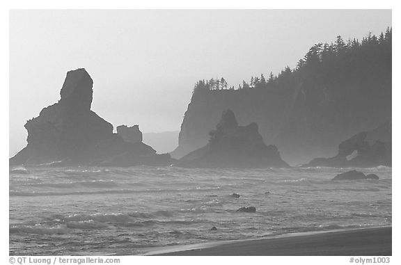 Sea stacks and arch on Shi-Shi Beach. Olympic National Park, Washington, USA.