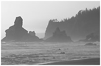 Sea stacks and arch on Shi-Shi Beach. Olympic National Park, Washington, USA. (black and white)