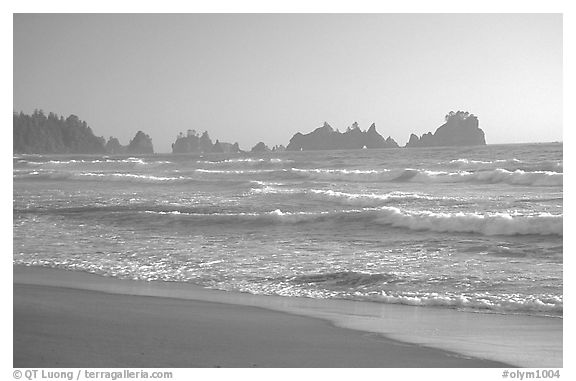 Seastacks, Shi-Shi Beach. Olympic National Park, Washington, USA.