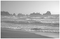 Seastacks, Shi-Shi Beach. Olympic National Park ( black and white)