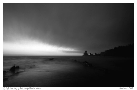 Shi-shi beach, dusk. Olympic National Park (black and white)