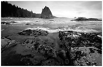 Tidepool at Rialto beach. Olympic National Park, Washington, USA. (black and white)