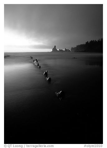 Dusk, Shi-shi beach. Olympic National Park (black and white)