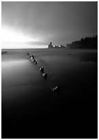 Dusk, Shi-shi beach. Olympic National Park ( black and white)