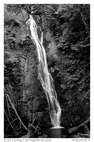 Mossy waterfall , Elwha valley. Olympic National Park, Washington, USA.