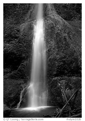 Marymere falls, spring. Olympic National Park, Washington, USA.