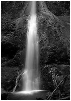 Marymere falls, spring. Olympic National Park, Washington, USA. (black and white)