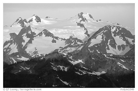 Mount Olympus at sunrise. Olympic National Park, Washington, USA.