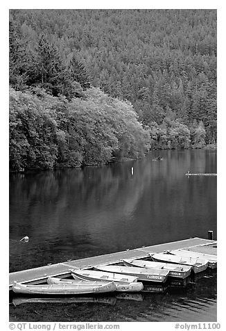 Small boats moored in emerald waters in Crescent Lake. Olympic National Park, Washington, USA.