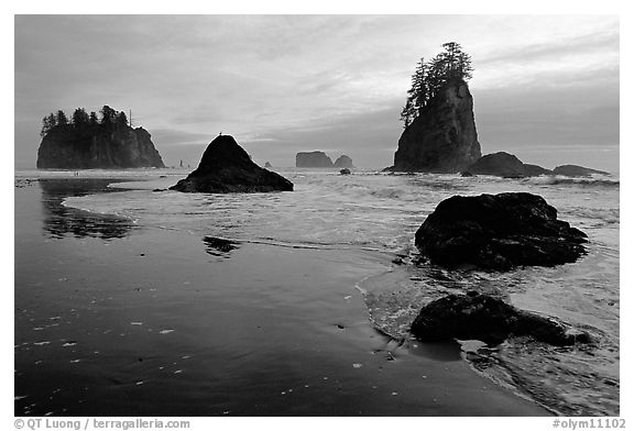 Beach with seastacks and reflections. Olympic National Park, Washington, USA.