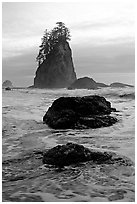 Rocks, seastacks and surf, Second Beach. Olympic National Park, Washington, USA. (black and white)