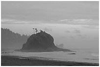 Seastack, Second Beach, dusk. Olympic National Park ( black and white)