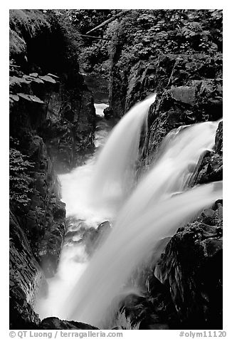 Sol Duc falls. Olympic National Park, Washington, USA.