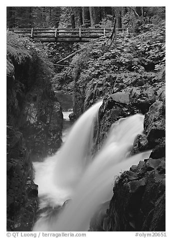 Sol Duc falls and wooden footbridge. Olympic National Park (black and white)